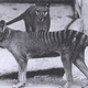 Image: Baker; E.J. Keller/Smithsonian
